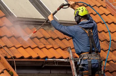 Démoussage et hydrofuge de toiture à Barraute-Camu